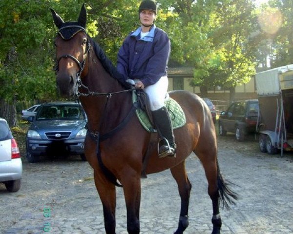 Springpferd Euphorie 26 (Hannoveraner, 2005, von El Bundy)