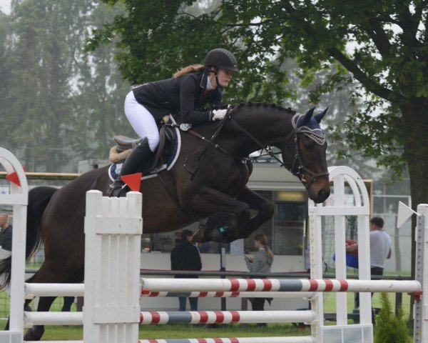 jumper Levano R (Trakehner, 2010, from Hirtentanz 2)