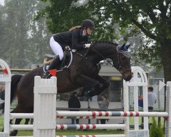 jumper Levano R (Trakehner, 2010, from Hirtentanz 2)