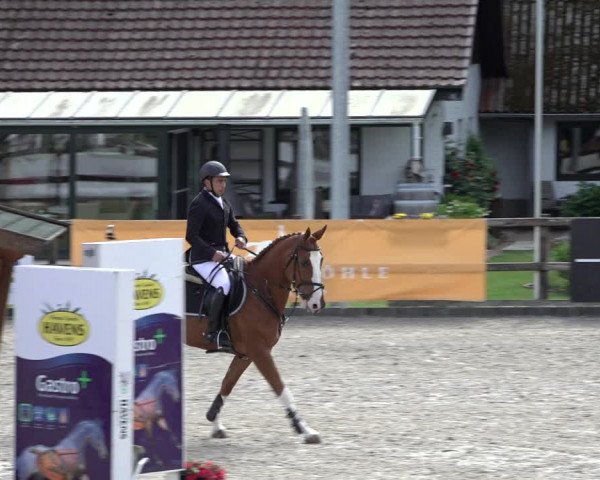 Reitturnier Klein Roscharden 2022