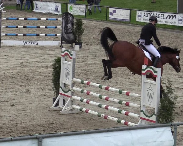 Reitturnier Hamm-Rhynern 2022