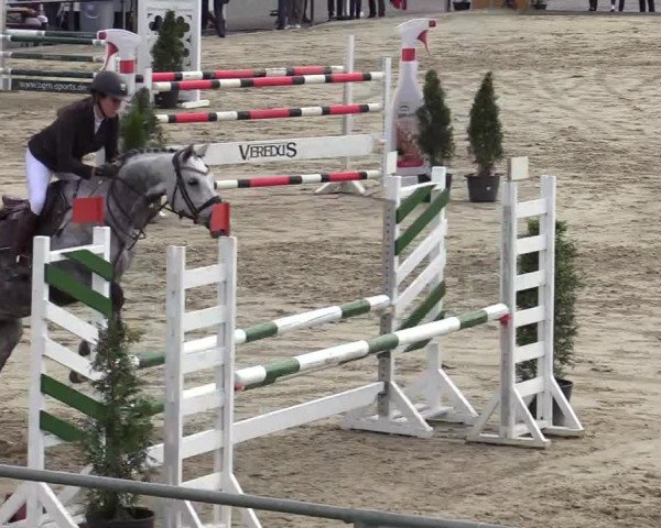 Reitturnier Hamm-Rhynern 2022
