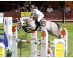 Springpferd Borneo (Oldenburger Springpferd, 2006, von Balou du Rouet)
