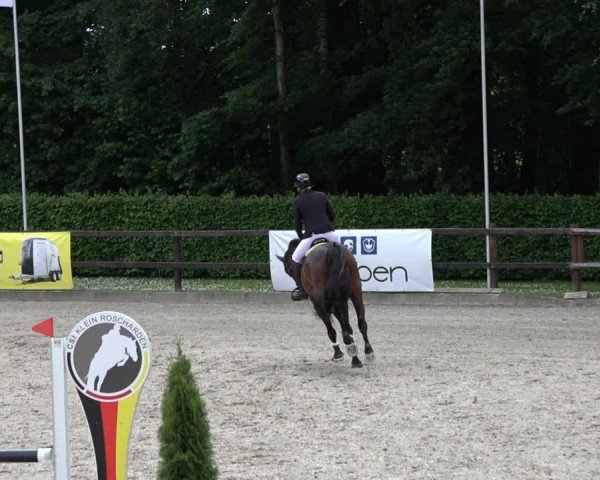 Reitturnier Klein Roscharden 2022