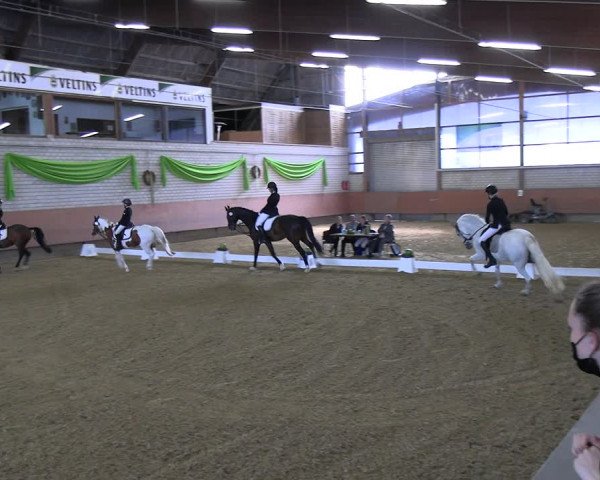 Reitturnier Hellefeld 2022