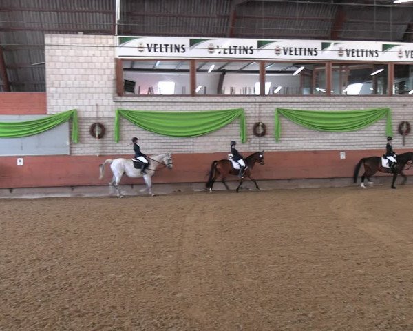 Reitturnier Hellefeld 2022