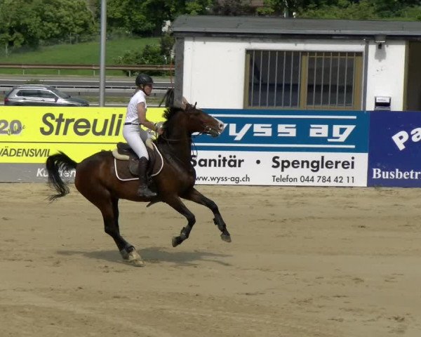 Reitturnier Wädenswil 2022