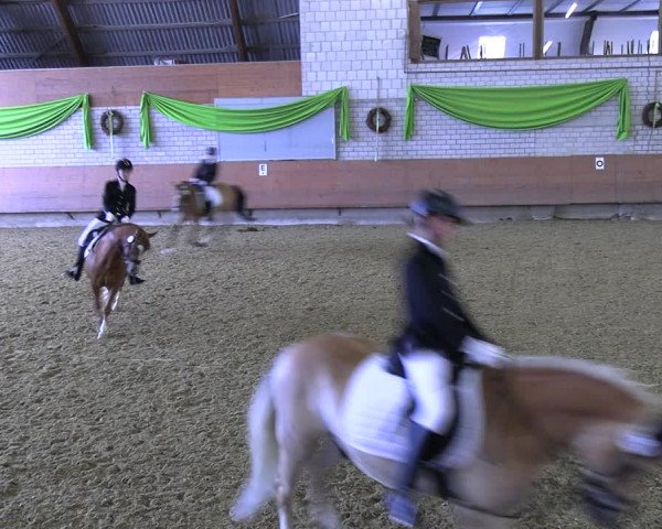 Reitturnier Hellefeld 2022