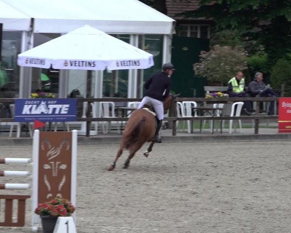 Reitturnier Klein Roscharden 2022