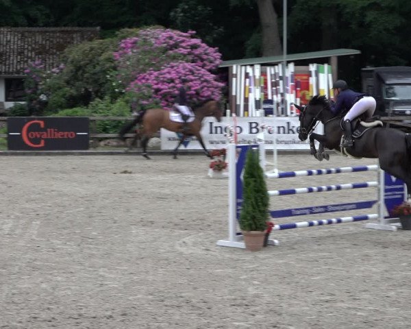 Reitturnier Klein Roscharden 2022