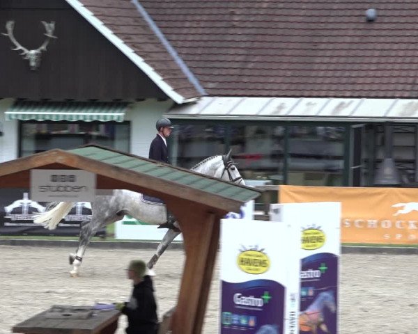 Reitturnier Klein Roscharden 2022