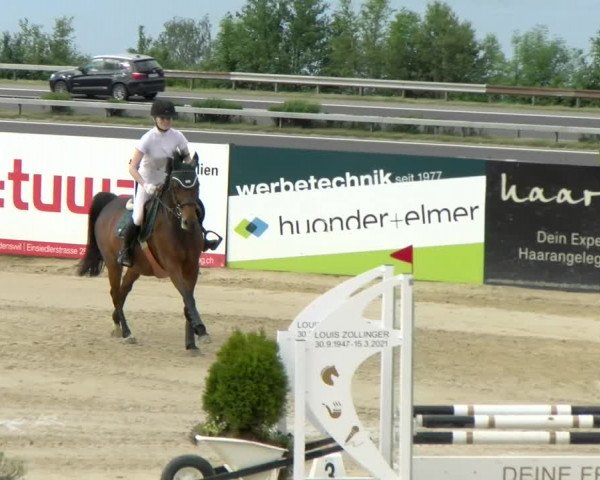 Reitturnier Wädenswil 2022