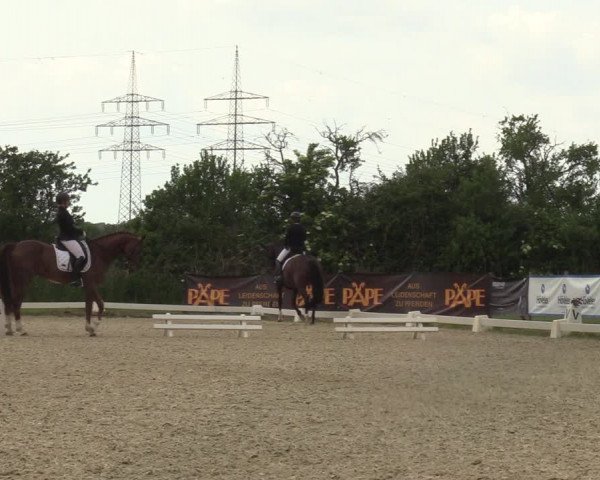 Reitturnier Münster, St. Georg | Amateurtag 2022