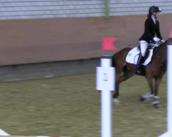 Reitturnier Hellefeld 2022