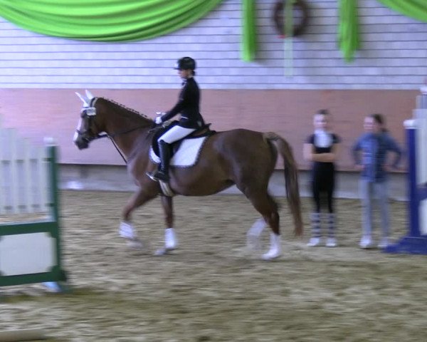 Reitturnier Hellefeld 2022