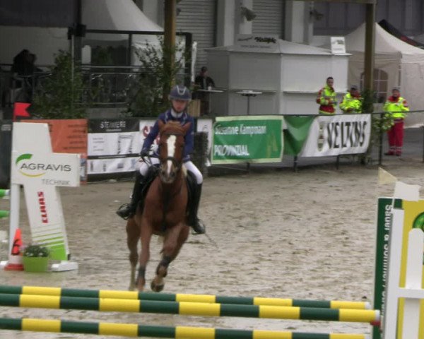 Reitturnier Hellefeld 2022