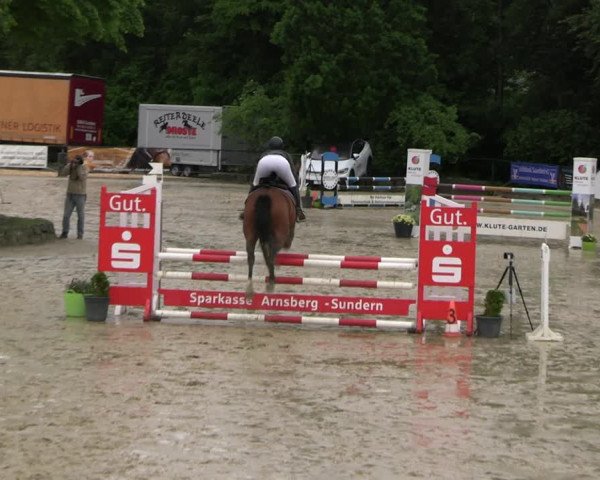 Reitturnier Hellefeld 2022