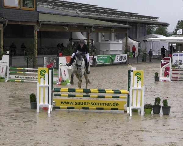 Reitturnier Hellefeld 2022