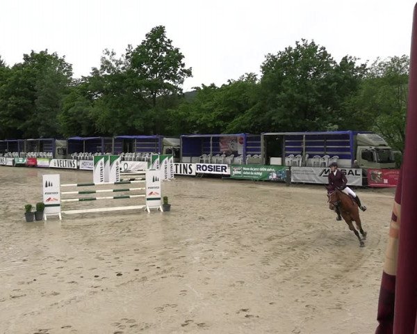 Reitturnier Hellefeld 2022