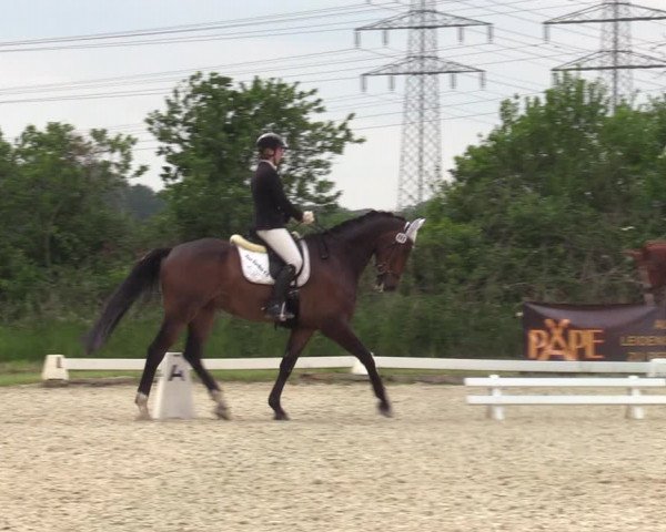 Reitturnier Münster, St. Georg | Amateurtag 2022
