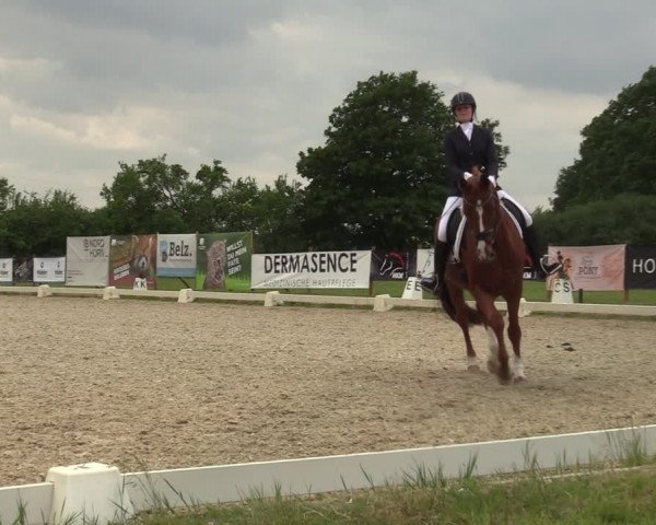 Reitturnier Münster, St. Georg | Amateurtag 2022