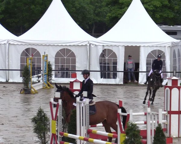 Reitturnier Hamm-Rhynern 2022