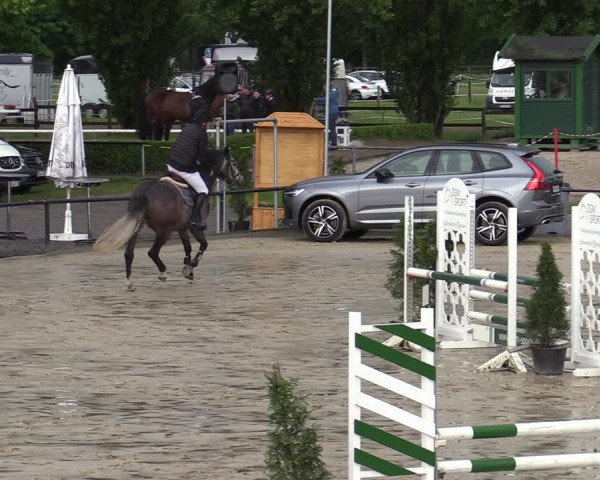 Reitturnier Hamm-Rhynern 2022