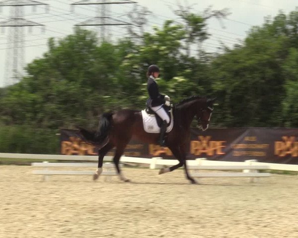 Reitturnier Münster, St. Georg | Amateurtag 2022