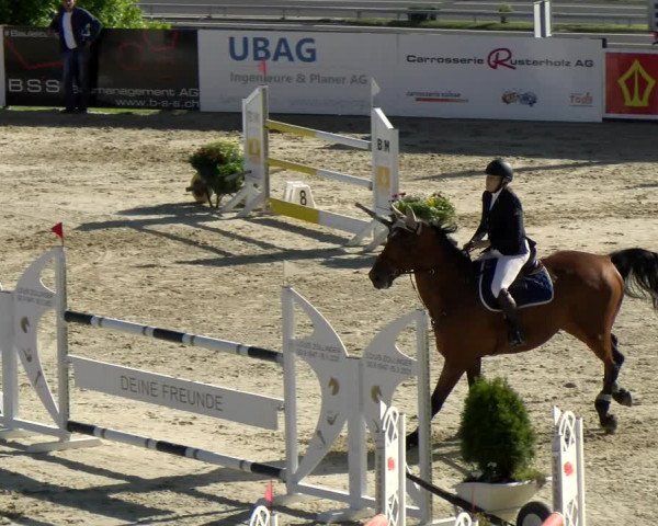 Reitturnier Wädenswil 2022