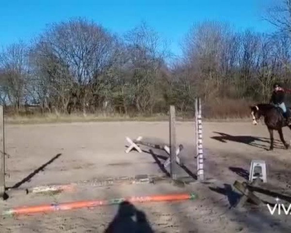 Video of Looping Luzie