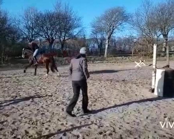 Video of Looping Luzie