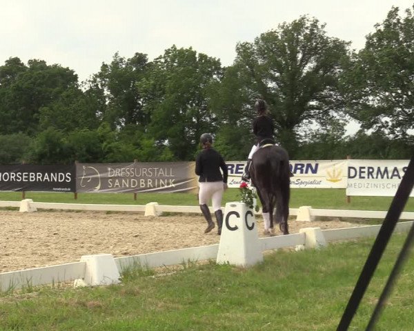 Reitturnier Münster, St. Georg | Amateurtag 2022