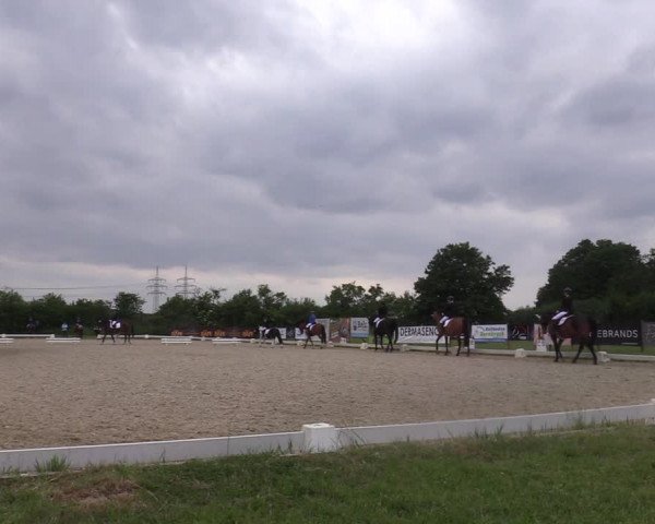 Reitturnier Münster, St. Georg | Amateurtag 2022