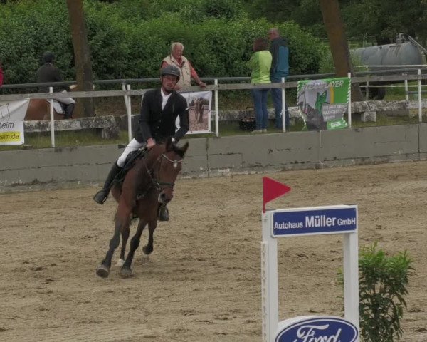 Reitturnier Billigheim 2022