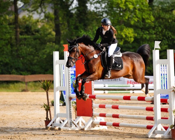 broodmare Marlixe SG (Rhinelander, 2010, from Miraculix)