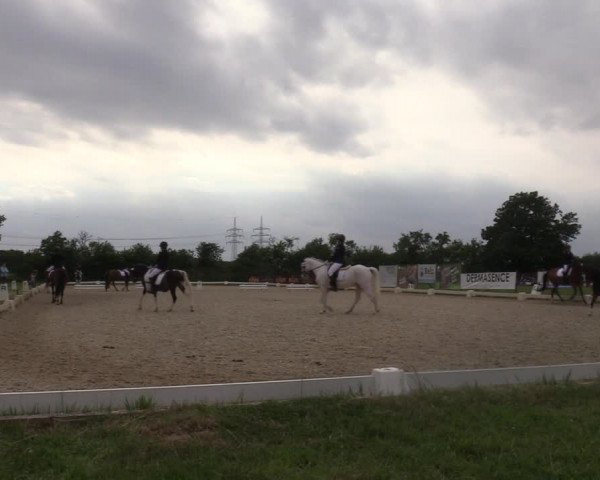 Reitturnier Münster, St. Georg | Amateurtag 2022