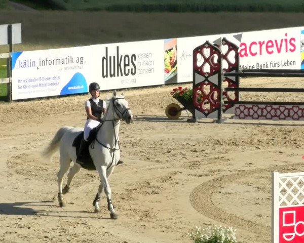 Reitturnier Wädenswil 2022