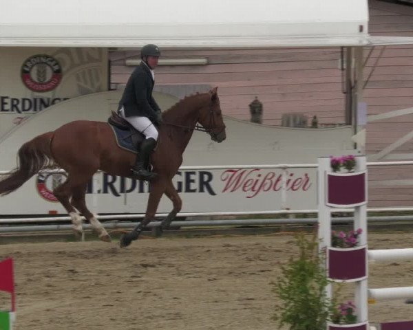 Reitturnier Billigheim 2022