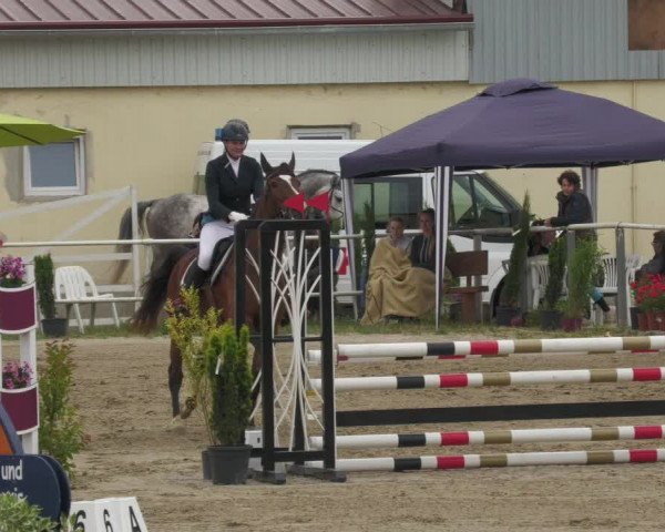 Reitturnier Billigheim 2022