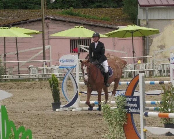 Reitturnier Billigheim 2022