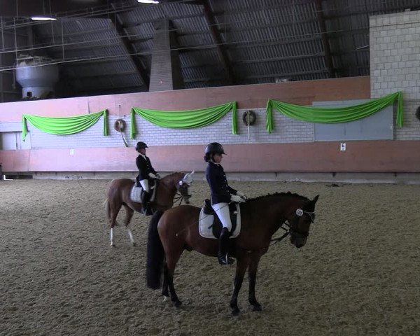 Reitturnier Hellefeld 2022
