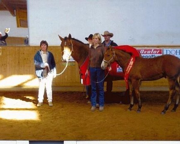 horse Smokitopine (Quarter Horse, 2009, from Hot Smokin Chex)