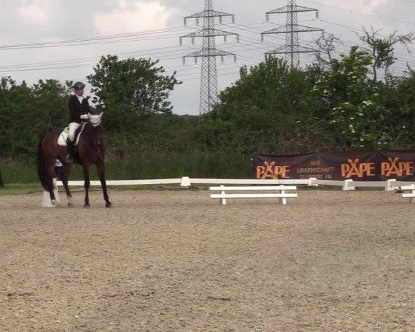 Reitturnier Münster, St. Georg | Amateurtag 2022