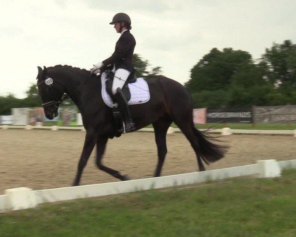 Reitturnier Münster, St. Georg | Amateurtag 2022