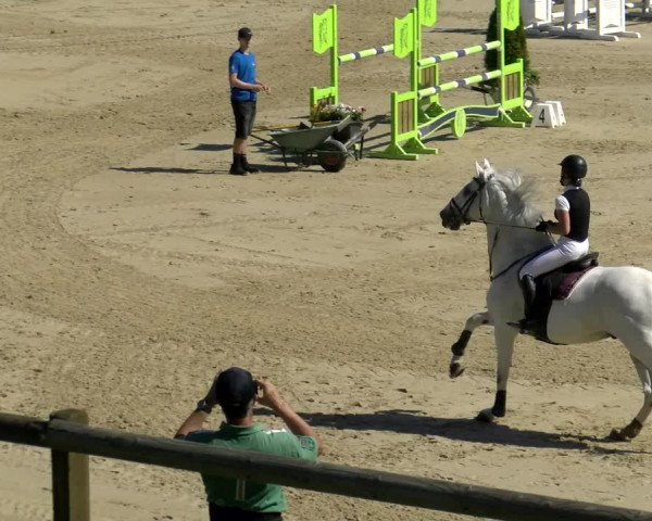 Reitturnier Wädenswil 2022