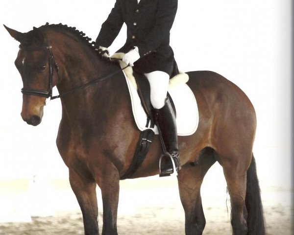 dressage horse Florentino 65 (Westphalian, 2004, from Florestan I)