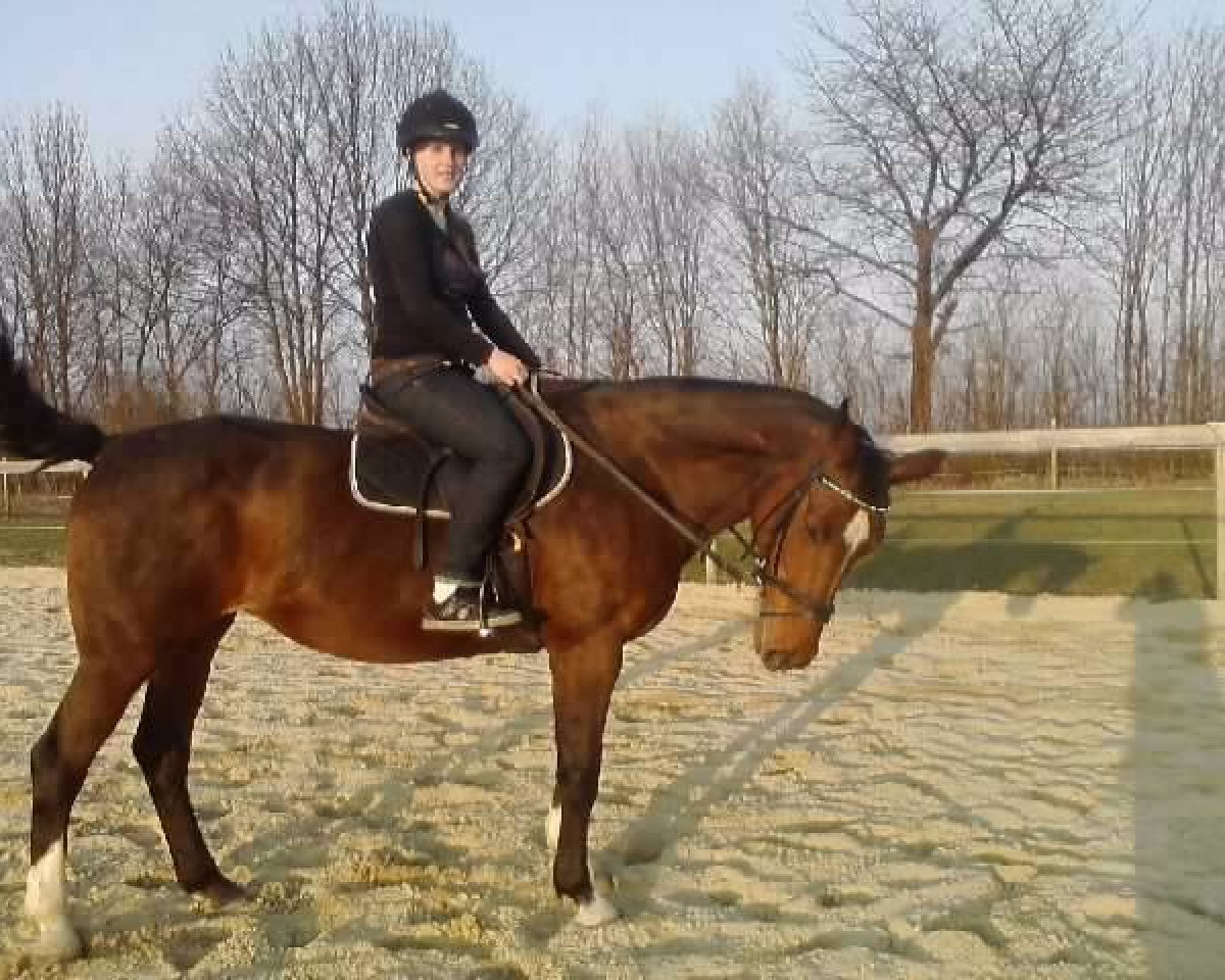 broodmare Prinzessin Olenka (Westphalian, 1994, from Pluspunkt)