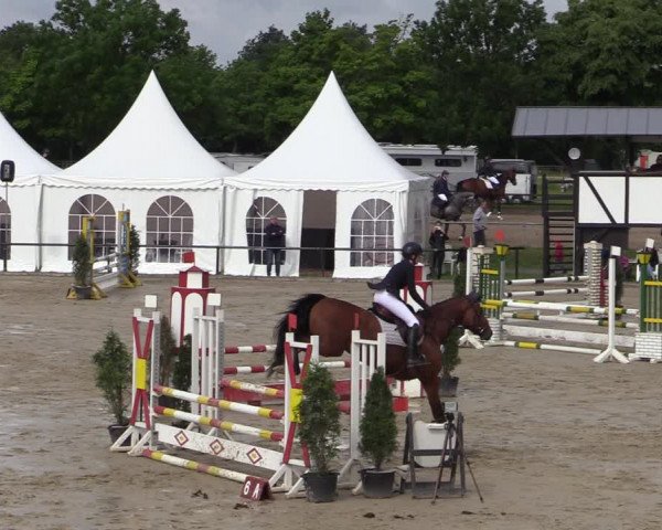 Reitturnier Hamm-Rhynern 2022