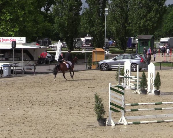 Reitturnier Hamm-Rhynern 2022