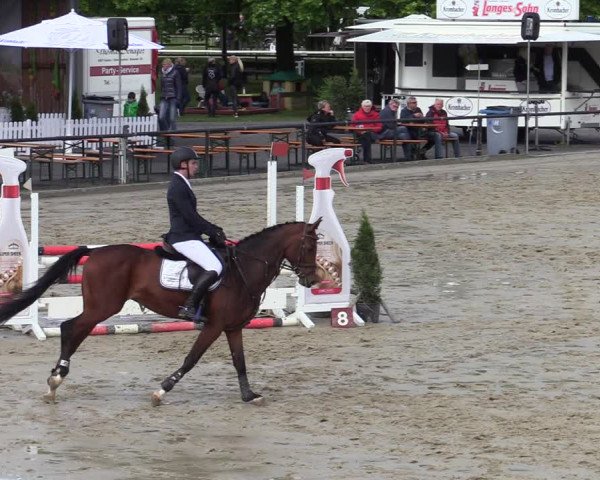 Reitturnier Hamm-Rhynern 2022